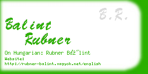 balint rubner business card